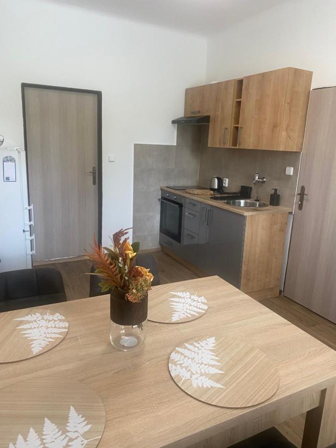 Cerna Ruze - Apartman 3 Plzeň Kültér fotó